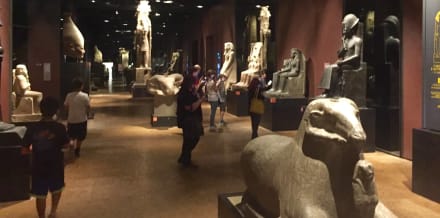 10 Best Museums in Turin