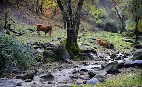 10 Best Adventure and Nature Activities in Granada