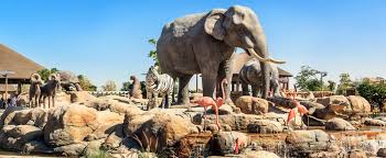 10 大阿聯酋迪拜最佳動物園和水族館