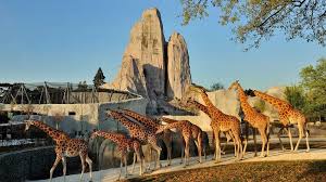 10 Best Zoos and Aquariums in Paris