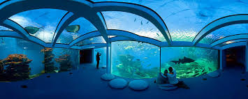 馬略卡水族館門票