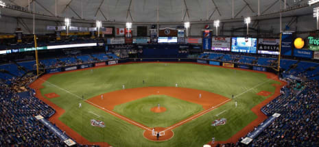 Tampa Bay Rays