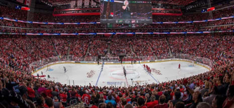 Detroit Red Wings
