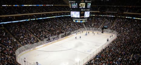 Minnesota Wild