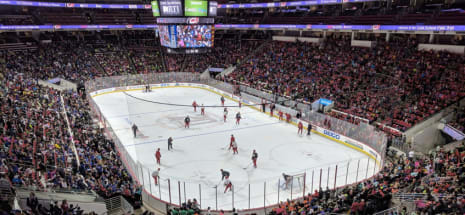 Carolina Hurricanes