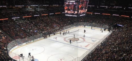 Anaheim Ducks