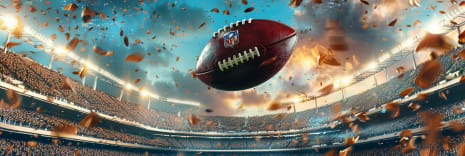 Arizona Cardinals