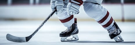 Chicago Wolves