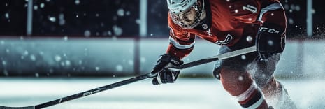 Rockford Icehogs