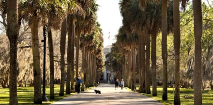 3日間のサバンナ：訪問を最大限に活用するためのガイドブック