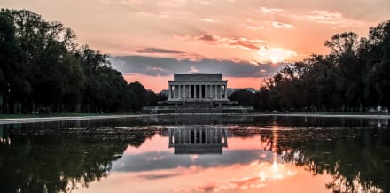 8 Best Food Tours in Washington DC