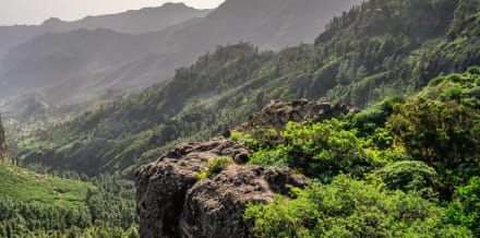 10 Best Things to Do in La Gomera