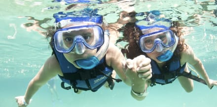 Best Snorkel Experiences in Playa del Carmen