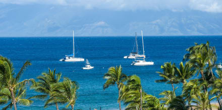 Boat Trips in Maui