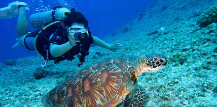 Buceo en Maui