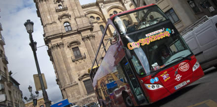 Malaga Hop-On Hop-Off Buses