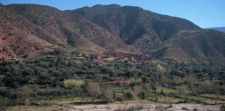 7 Best Day Trips to the Atlas Mountains from Marrakech