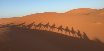 10 Things to Do in Marrakech in April