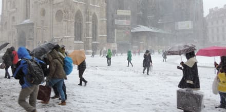 11 Things to Do in Vienna in the Winter