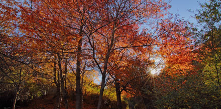 10 Things to Do in Granada in Fall