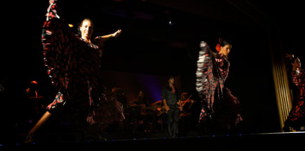 Espectáculos de flamenco en Barcelona