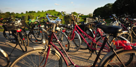 Die 7 besten Münchner Fahrradtouren