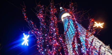 14 Things to Do in Tokyo in December