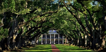 3 najlepsze wycieczki jednodniowe do Oak Alley Plantation z Nowego Orleanu
