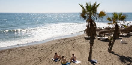 5 Best Marbella Tours