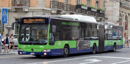 Verona Hop-On Hop-Off Buses