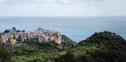 Die 5 besten Touren und Tagesausflüge ab Cinque Terre