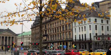 10 Things to Do in Copenhagen in November