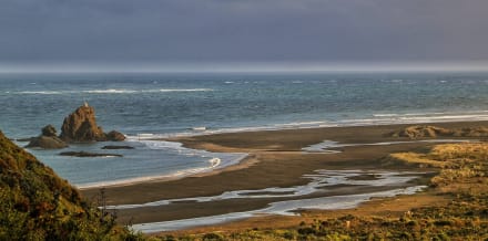10 saker att göra i Auckland på vintern