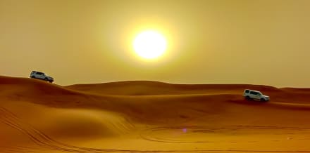 Die 5 besten Wüstensafari-Ausflüge ab Abu Dhabi