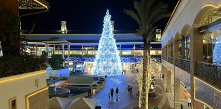 10 Things to Do in Albufeira in December