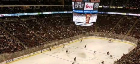 Arizona Coyotes