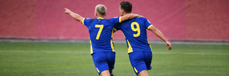 Bosnia and Herzegovina World Cup 2026
