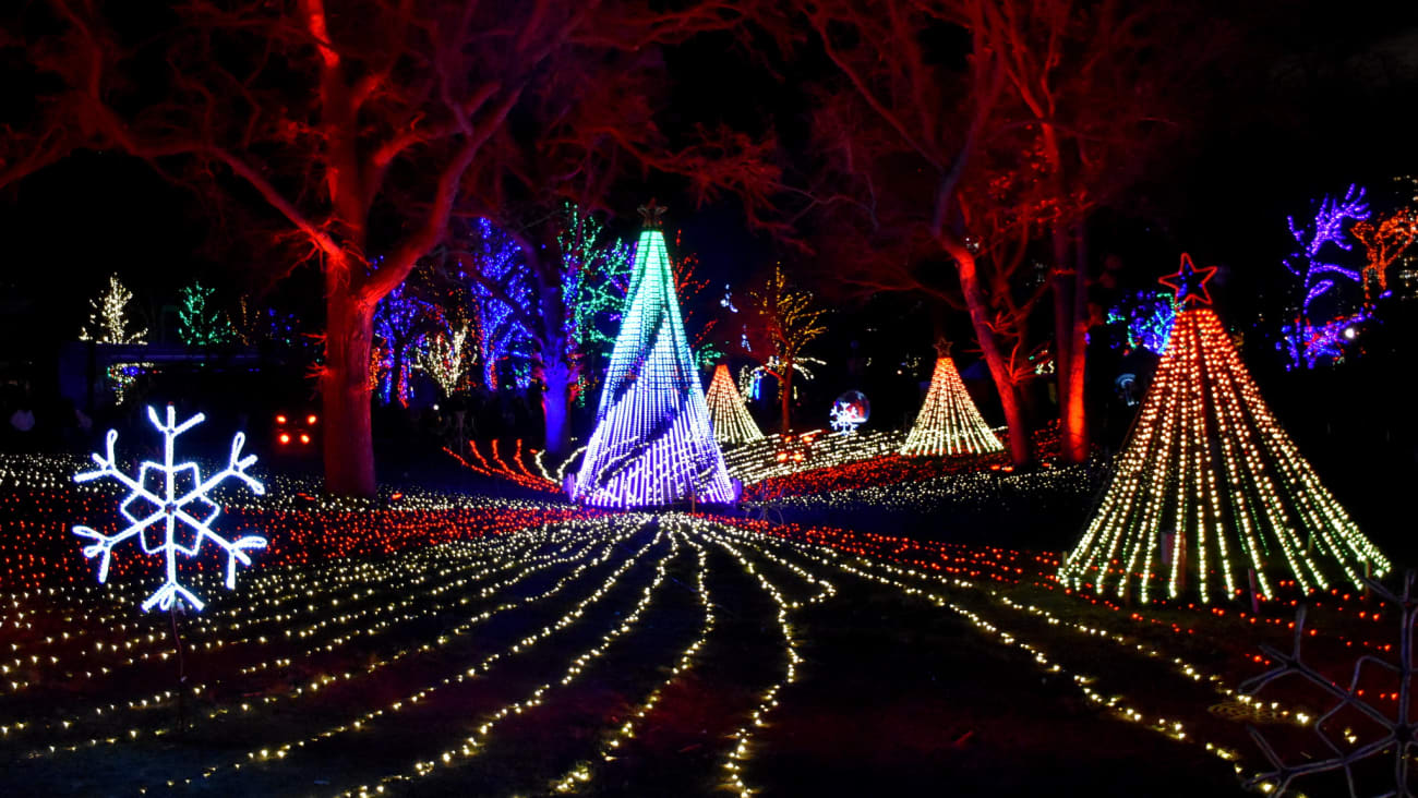 12 Things to do in Chicago at Christmas