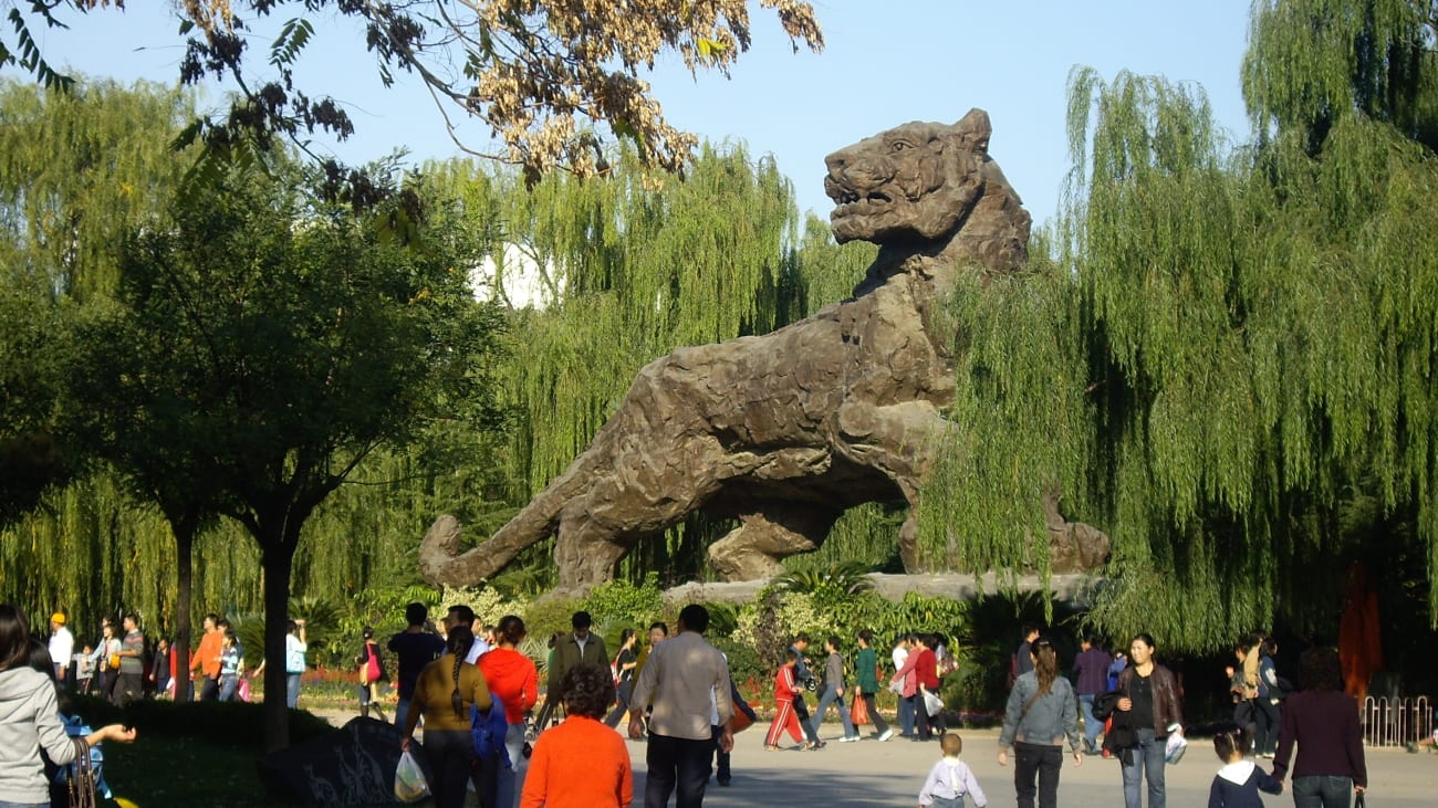 北京動物園門票:購買方式、價格及折扣