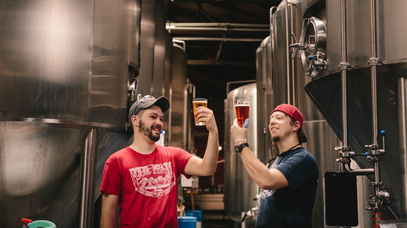 Los 4 mejores tours de cerveza en Auckland