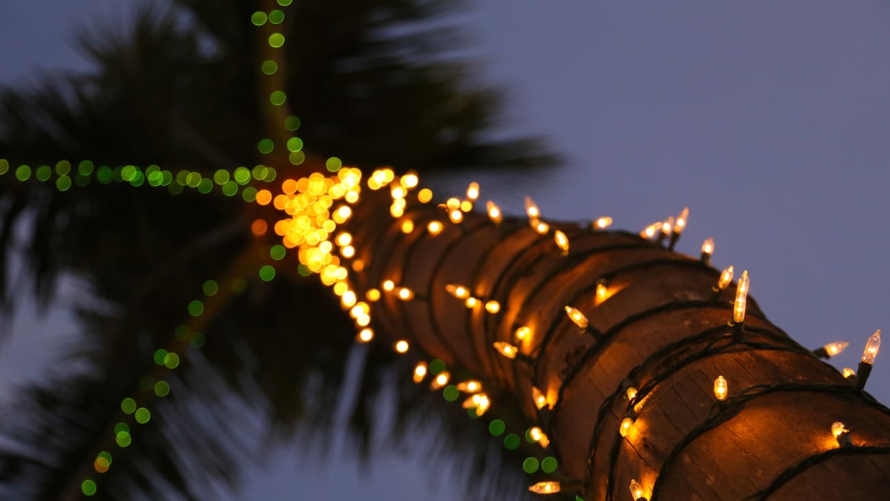 10 Things to Do in Key West at Christmas