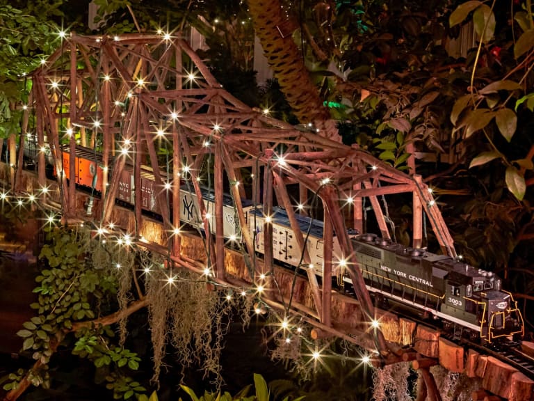 Botanik Bahçesi Noel Treni| ©Nyc Arts