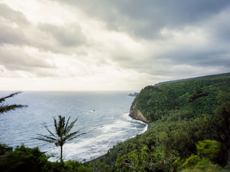 瓦胡島北海岸景觀| ©Rawpixel Ltd