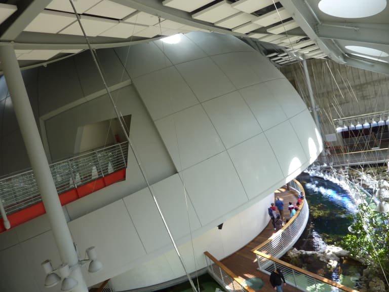 Morrison-Planetarium| ©Eugene Kim