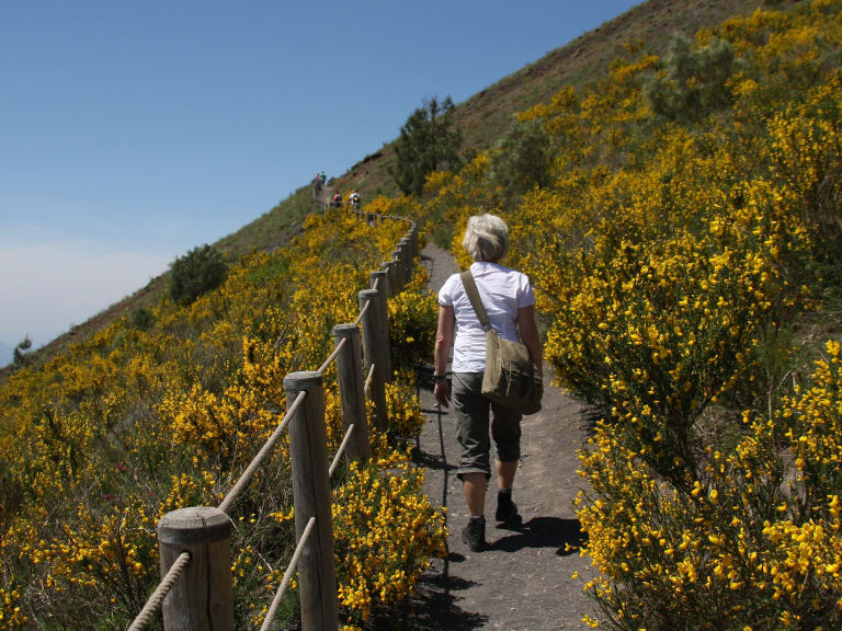 The path up Mount Vesuvius| ©Peter Visser