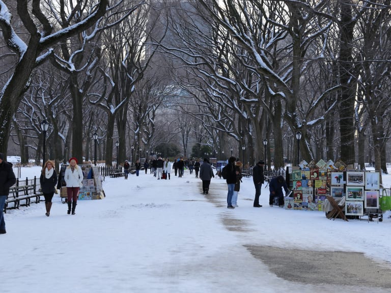 積雪覆蓋的中央公園| ©Mack Male