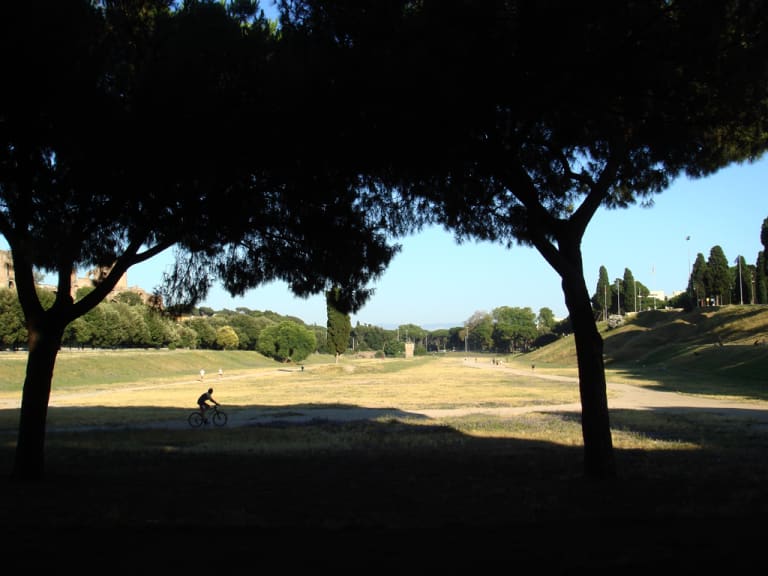 Enjoying the Green Area| ©Jolyon Russ