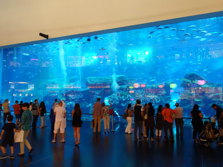 參觀杜拜水族館| ©Franklin Heijnen