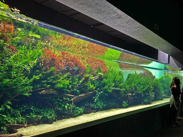 里斯本海洋館| ©Vitor Oliveira
