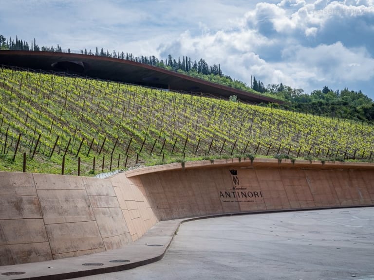 參觀 Antinori 釀酒廠和葡萄園。| ©Walter Schärer